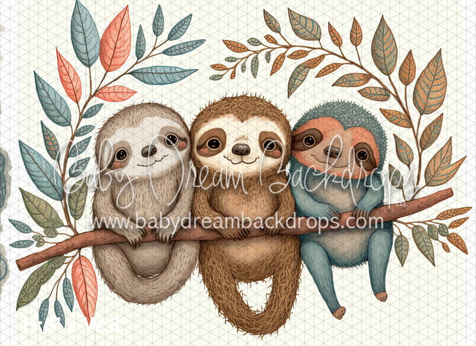 Baby Sloths (MD)