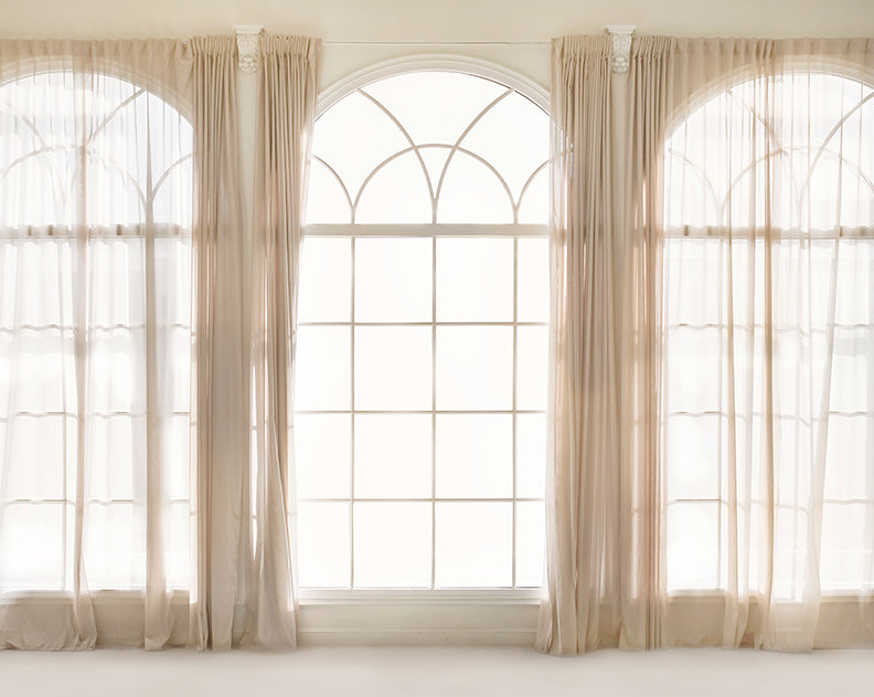 Backlit Elegance (full curtain) - 8x10 - CC 
