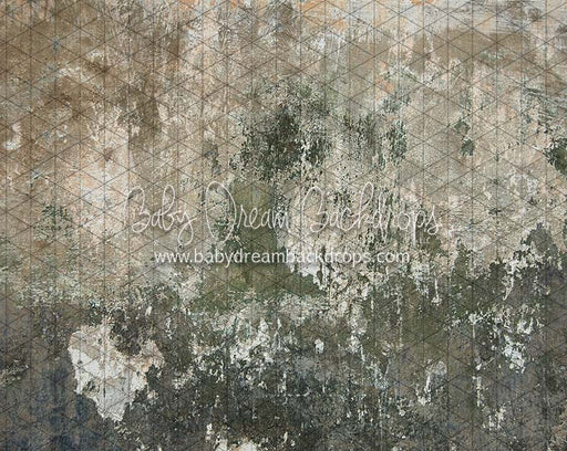 Backstreet Wall (CC)