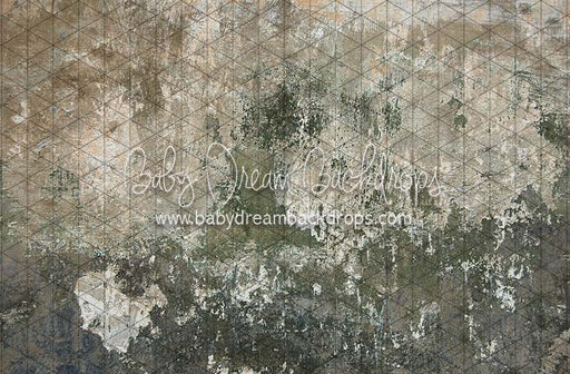 Backstreet Wall (CC)