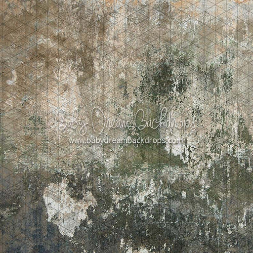 Backstreet Wall (CC)