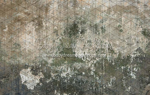 Backstreet Wall (CC)