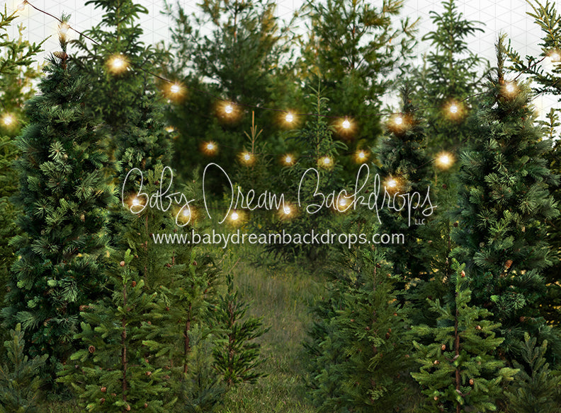Backyard Tree Farm (String Lights)