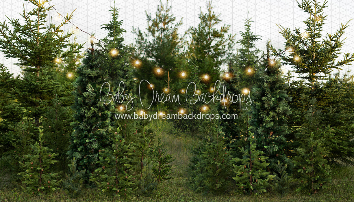 Backyard Tree Farm (String Lights)