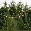 X Drop backyard tree farm string lights