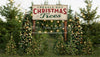 Backyard Tree Farm (String Lights + Extra Lights + Sign) (JA)