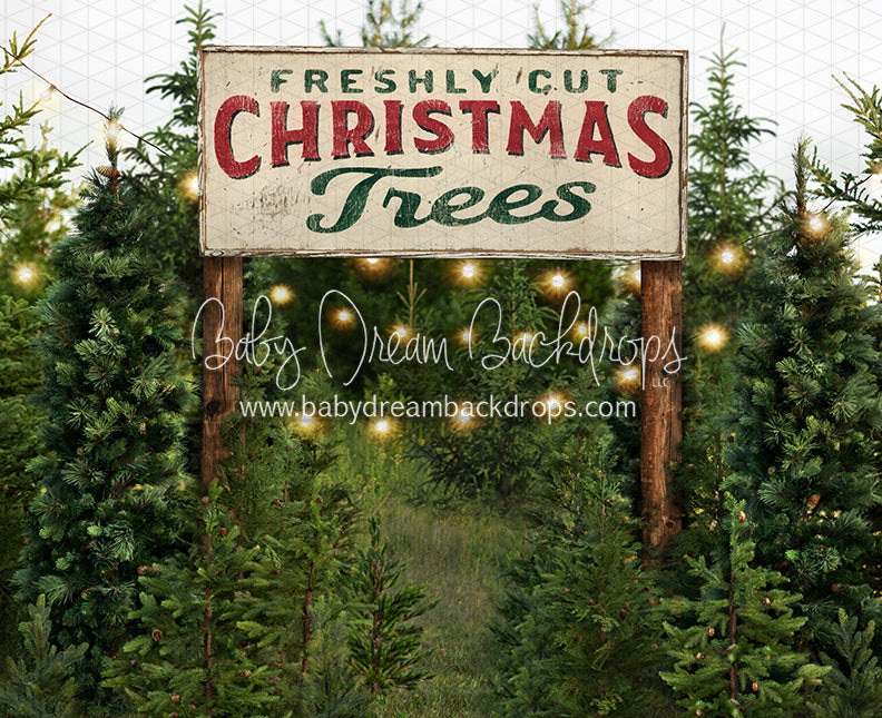 Backyard Tree Farm (String Lights + Sign)