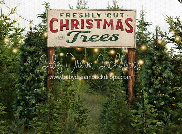 Backyard Tree Farm (String Lights + Sign) – Baby Dream Backdrops