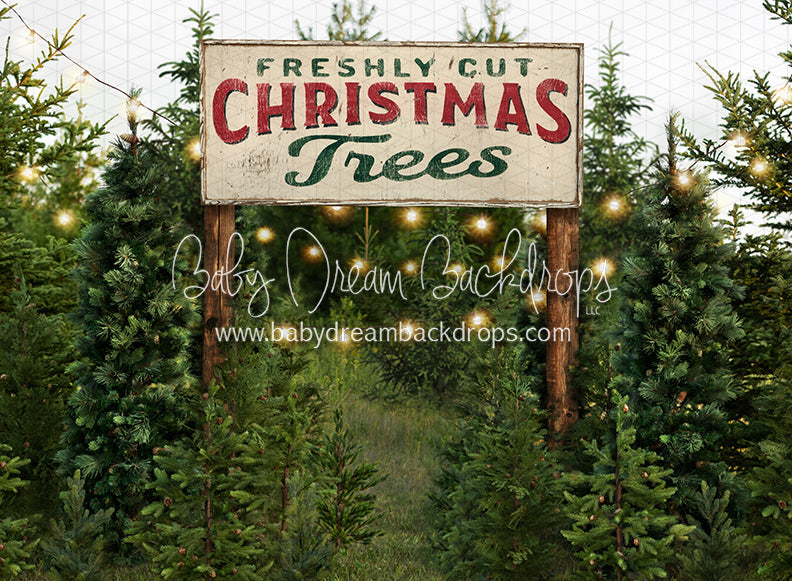 Backyard Tree Farm (String Lights + Sign)