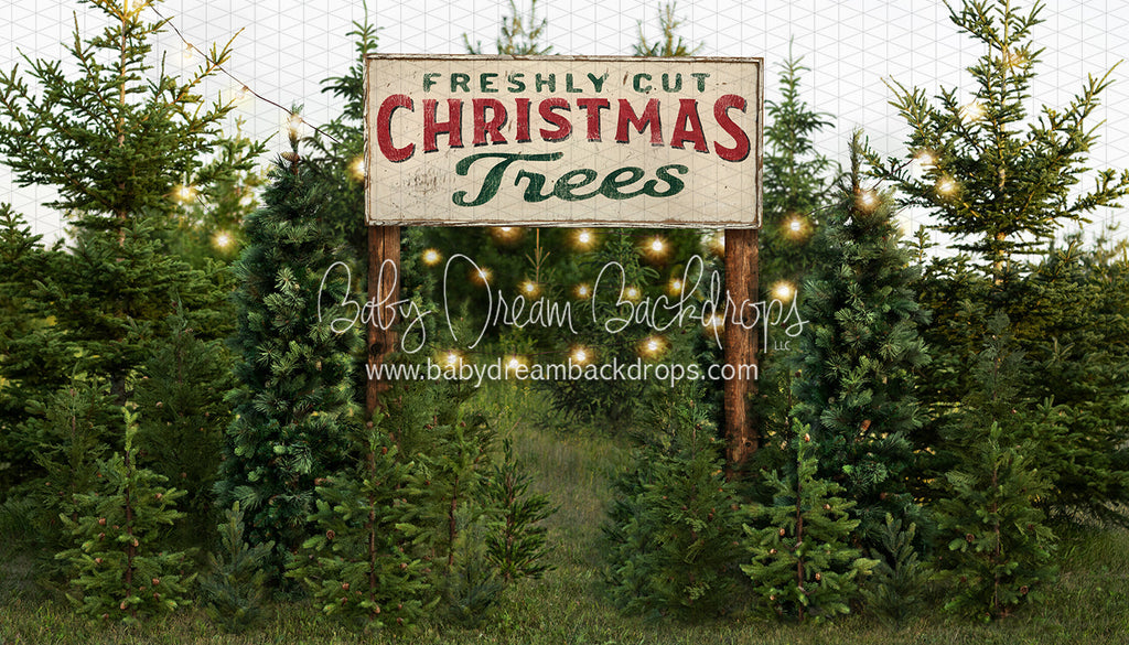 Backyard Tree Farm (String Lights + Sign) – Baby Dream Backdrops