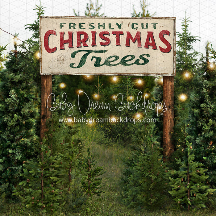 X Drop backyard tree farm string lights sign