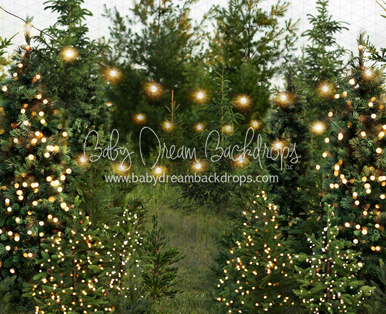 Backyard Tree Farm (String + Extra Lights)