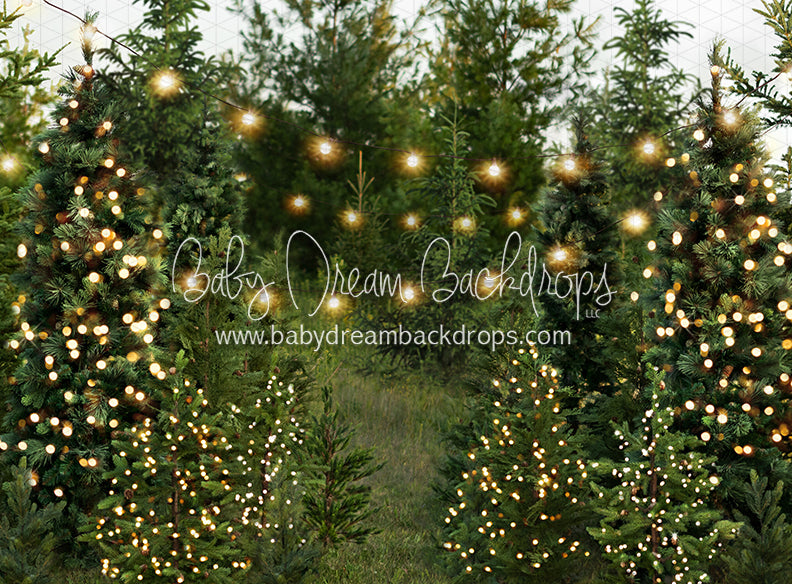 Backyard Tree Farm (String + Extra Lights)