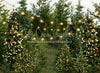 Backyard Tree Farm (String + Extra Lights)