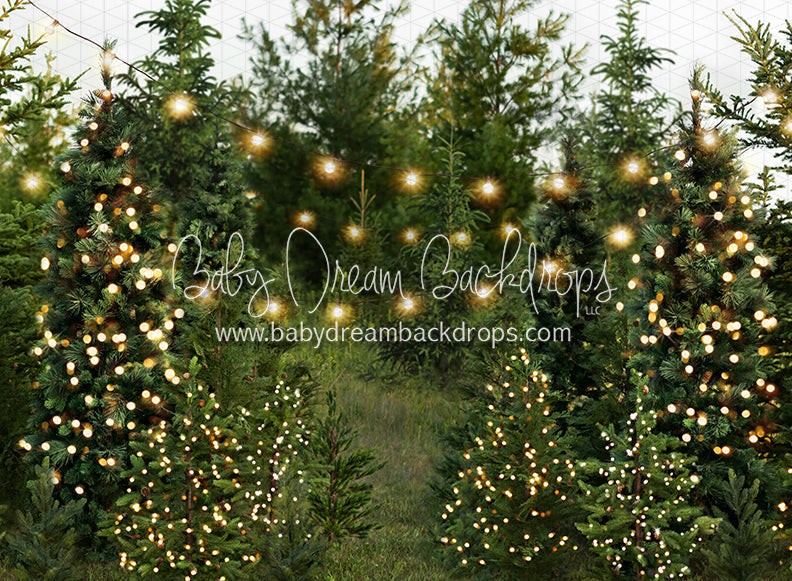 X Drop backyard tree farm string extra lights