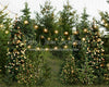 Backyard Tree Farm (String + Extra Lights)