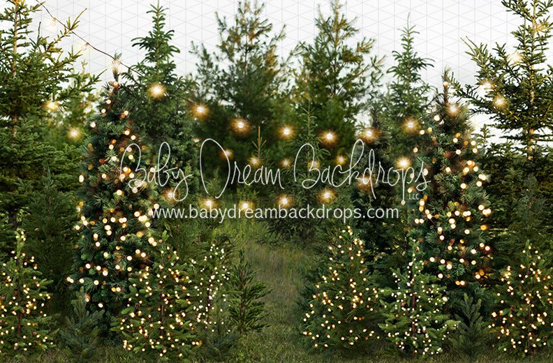 Backyard Tree Farm (String + Extra Lights)