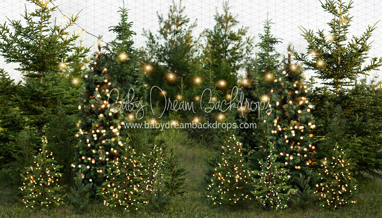 Backyard Tree Farm (String + Extra Lights)