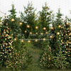 X Drop backyard tree farm string extra lights