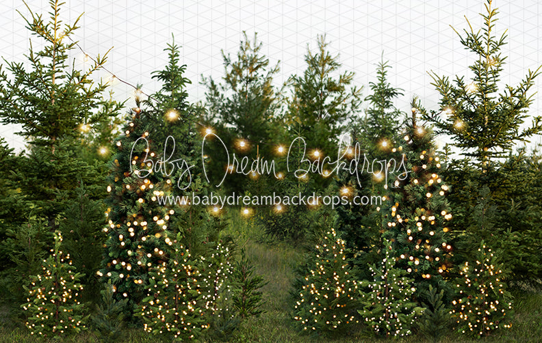 Backyard Tree Farm (String + Extra Lights)