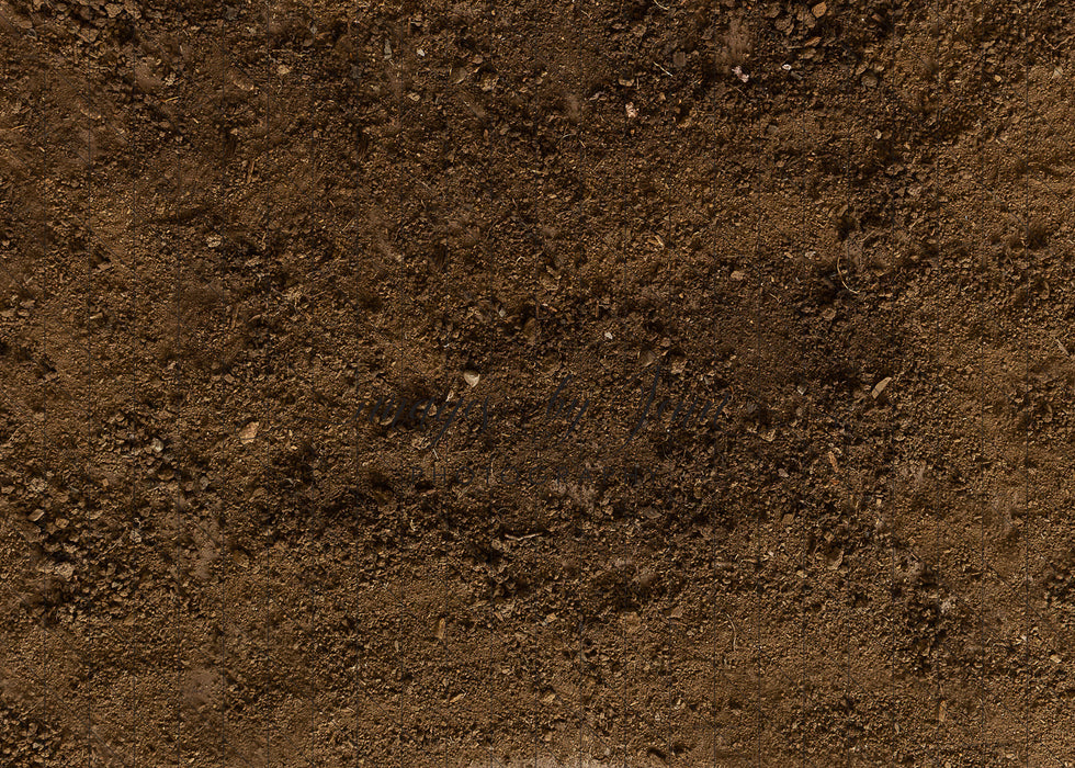 Backyard Dirt Floor Fabric Drop (JG)