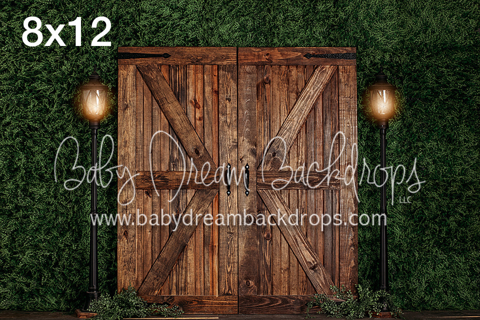 Barn Door Bliss