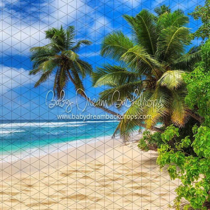 X Drop beach stroll cc