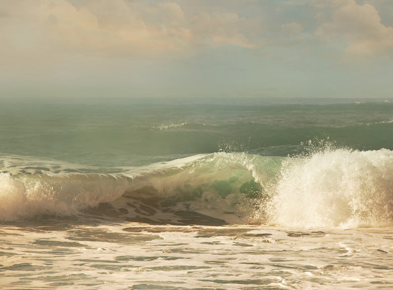 Beach Bum - 60Hx80W - CC  