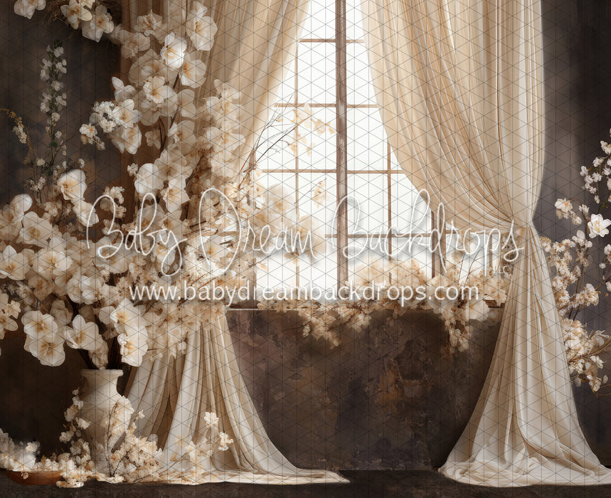 Beauty Rest Window (JA)