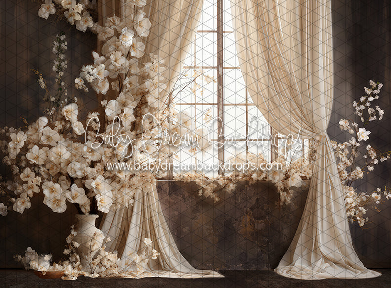 Beauty Rest Window (JA)