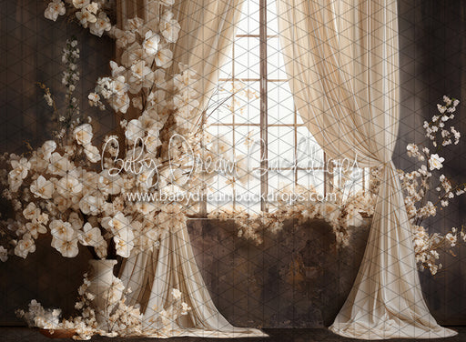 Beauty Rest Window (JA)