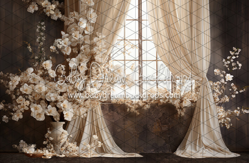 Beauty Rest Window (JA)