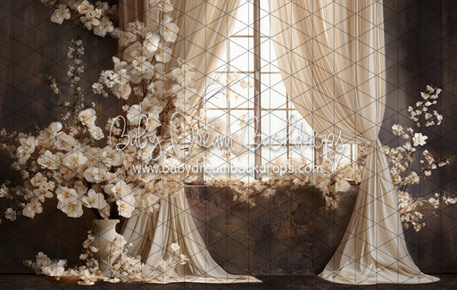 Beauty Rest Window (JA)