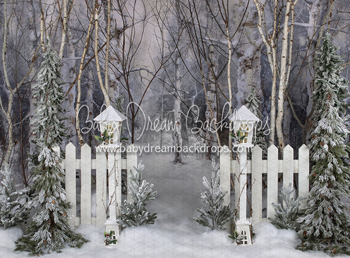 Believe in Birch Fence Path 