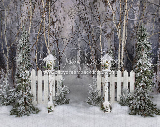 Believe in Birch Fence Path 