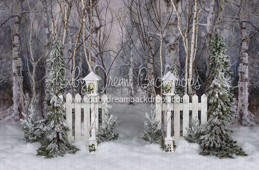 Believe in Birch Fence Path 