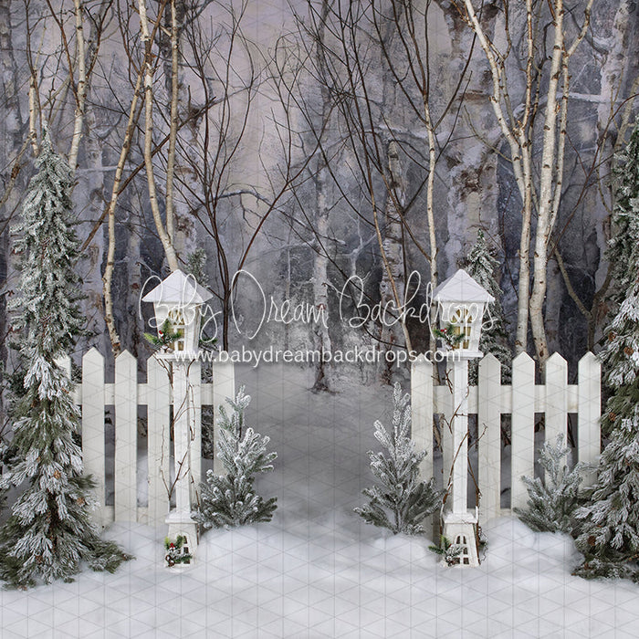 X Drop believe in birch fence path