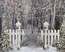 Believe in Birch Fence Path Lights