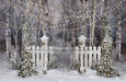 Believe in Birch Fence Path Lights