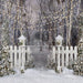 Believe in Birch Fence Path Lights