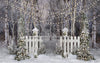 Believe in Birch Fence Path Lights