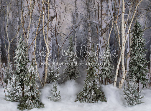 Believe In Birch Forest Pines