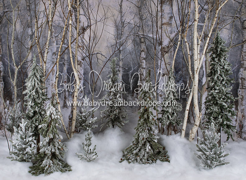 Believe In Birch Forest Pines