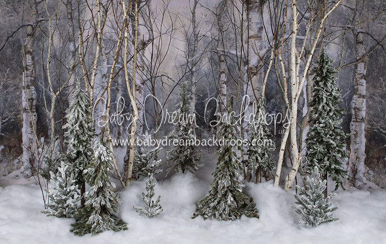 Believe In Birch Forest Pines