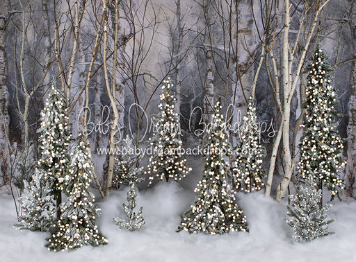 Believe In Birch Forest Pines Lights