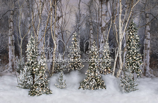 Believe In Birch Forest Pines Lights