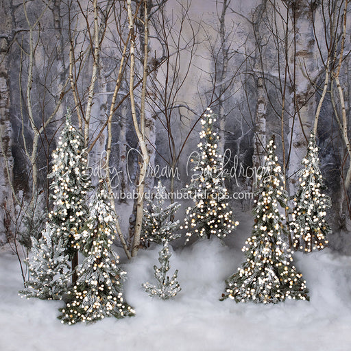 Believe In Birch Forest Pines Lights