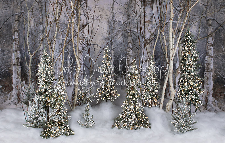 Believe In Birch Forest Pines Lights