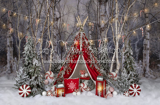 Believe In Birch Peppermint Tent