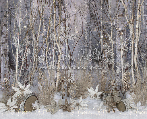 Believe in Birch Sparkle